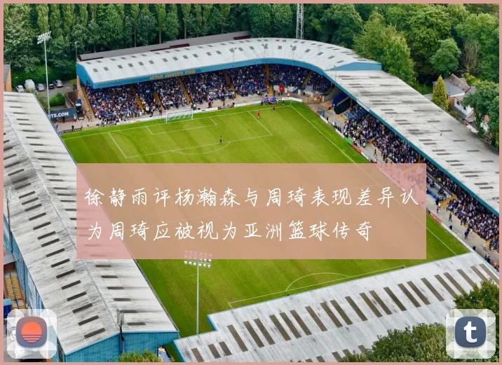 徐静雨评杨瀚森与周琦表现差异认为周琦应被视为亚洲篮球传奇