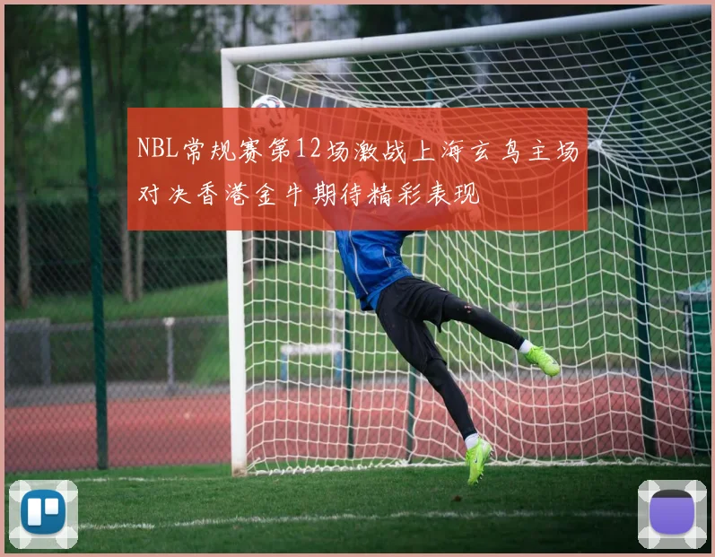 NBL常规赛第12场激战上海玄鸟主场对决香港金牛期待精彩表现